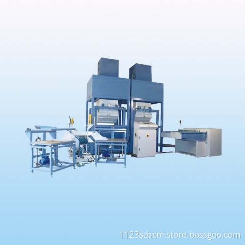 Fully Automatic Pillow Weighing and Filling Machine